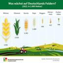 BZL auf einen Blick: Was wächst auf Deutschlands Feldern?