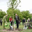 The Queen´s Green Canopy: Erster Baum in Deutschland gepflanzt