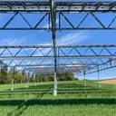 Agri-Photovoltaik: Letzte Hürden bremsen den Technologie-Schub aus