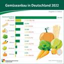 BZL auf einen Blick: Gemüseanbau in Deutschland 2022