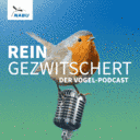 Reingezwitschert: NABU startet Vogel-Podcast