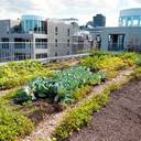„INUGA“-Auftaktveranstaltung: Start der Vernetzungs- und Transfermaßnahme zum Urbanen Gartenbau
