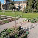 Alte Rosen und bequeme Bänke: Veränderungen im Botanischen Garten Karlsruhe