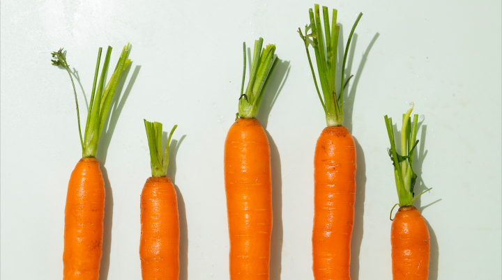Möhren und Karotten: die cleveren Rüben