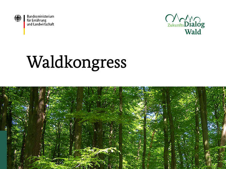 Waldkongress: Meilenstein zur Entwicklung einer neuen Waldstrategie