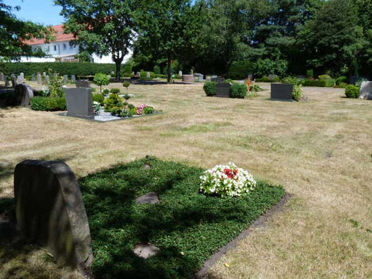Gluthitze stresst Pflanzen und Friedhofsgärtner