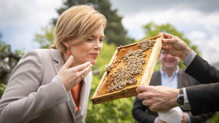 Mit Forschung Bienen und Insekten schützen