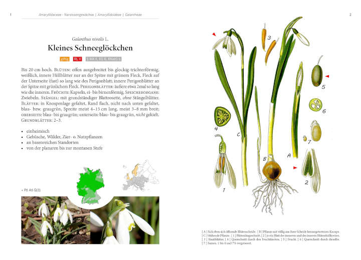 Die schönsten Frühlingsblumen in einem hochwertigen Bild- und Textband