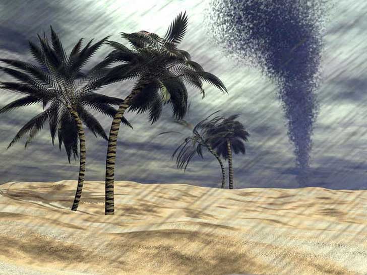 Regen für die Wüste
