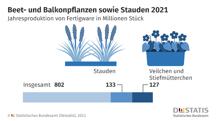 Zierpflanzen 2021: 15 % weniger Betriebe in Deutschland als 2017